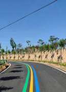 蘇州道路劃線反光漆多少錢一個平方？